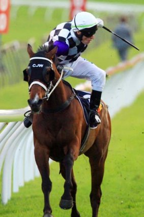 Despised outsider, circa 2011: The Verminator, ridden by Craig Newitt.