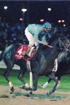 Gone but not forgotten: American star Cigar, pictured winning the inaugural Dubai World Cup 18 years ago, died this week.