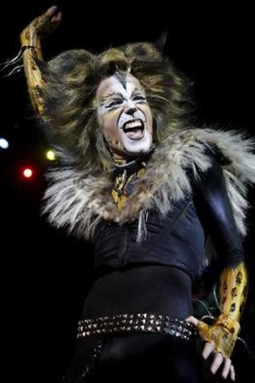 Cats is back at the Regent Theatre from March 3.