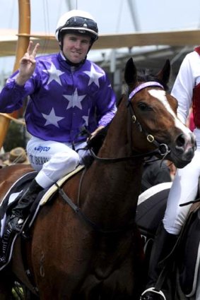 Contender &#8230; Tommy Berry on Certitude after winning at Rosehill last month.