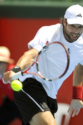 Fernando Gonzalez of Chile in action at Kooyong yesterday during his 6-2, 6-4 win over Tommy Haas of Germany. Neither will feature in the AAMI Classic final.