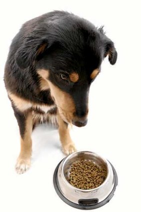 The term 'eating your own dog food' encapsulates the increasing need of CEOs not just to talk the talk, but walk the walk.
