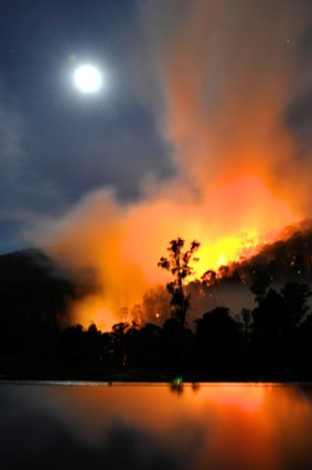 Fire roars through the Alpine National Park.