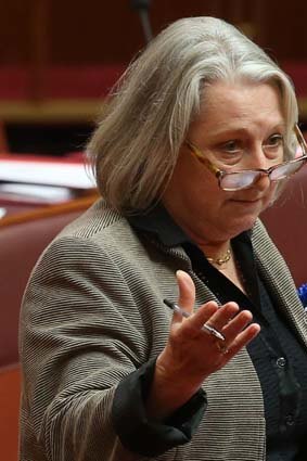 The appoinment of only one woman to the new federal cabinet is "embarrassing": Sue Boyce.