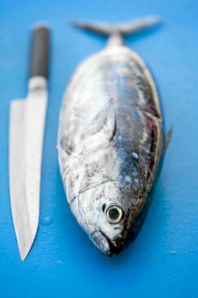 Green light: Australian bonito is an excellent sustainable source of omega-3 fats.