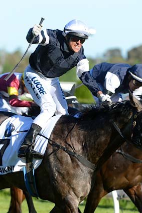 Family day: Nick Hall salutes on Fawkner in the Caulfield Cup.