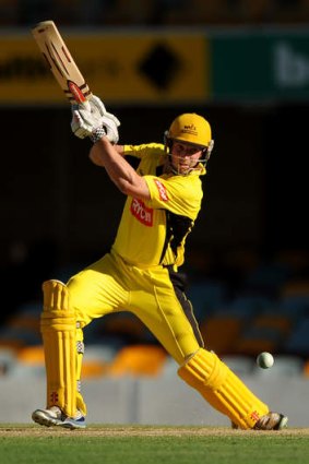 Back in favour: Shaun Marsh in action against the Queensland Bulls.
