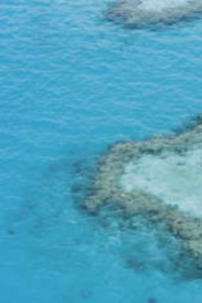 Heart-stopping: A seaplane flies over the reef.