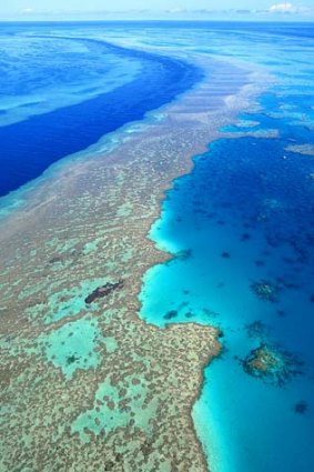 Environment: The Coalition will be facing a legal battle over its decision to allow dredging in the Great Barrier Reef.