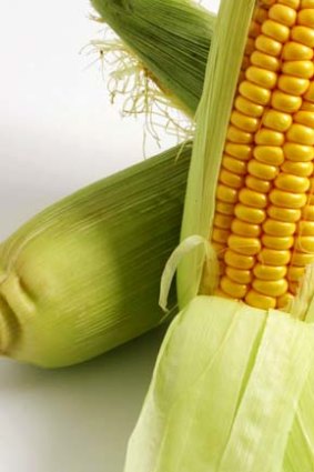 Aid organisations warn that the corn could worsen a global food crisis.