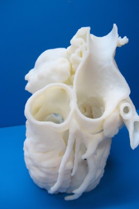 A model heart created with a 3D printer at the Children’s National Medical Centre in Washington, DC.