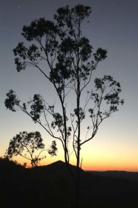 EcoRidge Hideaway is an escape from the city, just outside Toowoomba.