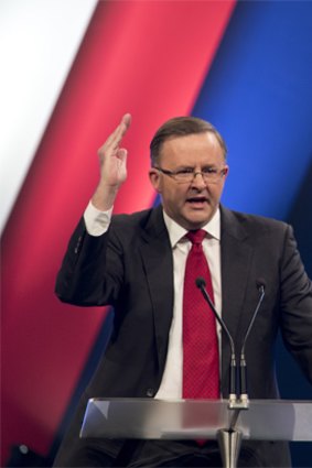 Anthony Albanese: "I like fighting Tories. That's what I do."