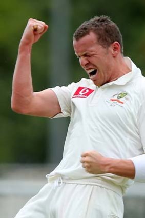Peter Siddle ... Australia's selectors might be ready to take a risk on the paceman against South Africa.