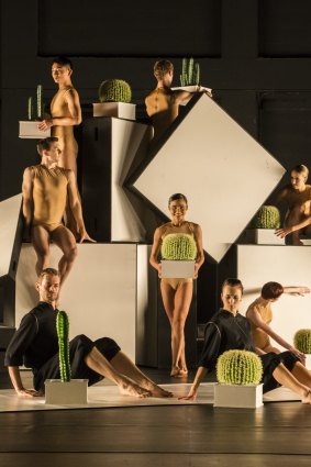 Sydney Dance Theatre presents Alexander Ekman's Cacti. 