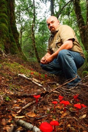 Scott Jordan of the Tarkine National Coalition.