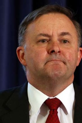Was a strong backer of Kevin Rudd: Anthony Albanese.