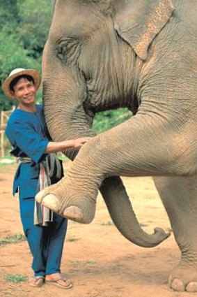 A mahout and his elephant at Anantara.