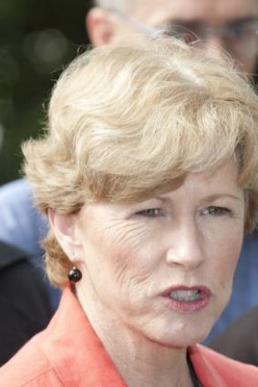 "Prevention is much better than cure when it comes to keeping us all safe from risks associated with terrorism": Greens leader Christine Milne. 