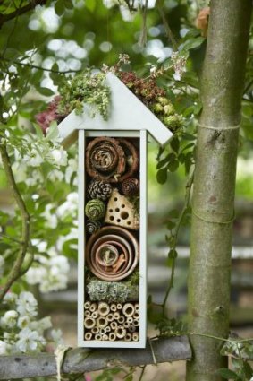  The completed insect house.