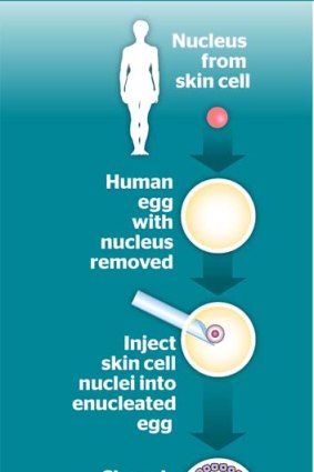 Human stem cell breakthrough.