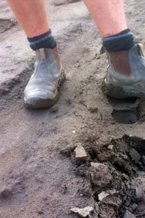 A Lockyer Valley farmer stands in top soil washed away from farms upstream.