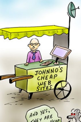 Our cartoonist's take on the Buswell wesbite.