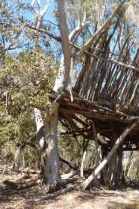 Have you seen this great treehouse on the slopes of Mt Majura?