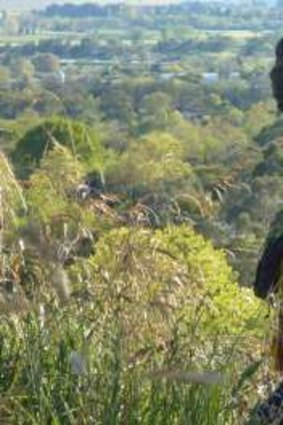 Jim Powell searches through waist-high grass and bracken for the Devil’s Seat