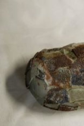 The fossilised egg of a dinosaur, which is being shipped back to Mongolia.
