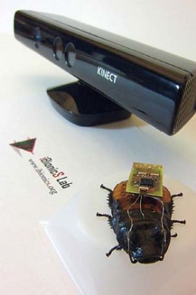 A biobot cockroach.