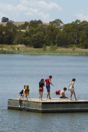 Cooling off in Lake Ginninderra.