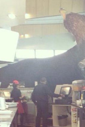 No one was hurt when a giant eagle used in the <i>Lord of the Rings</i> crashed at Wellington Airport.