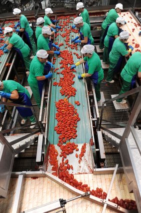 A tomato packaging facility.
