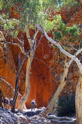 Bushwalkers at the entrance to Standley Chasm.