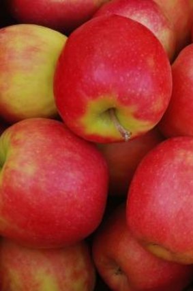 Fresh trouble: Pink lady apples.