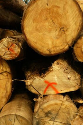 Gunns timber assets bought by investment manager New Forests.