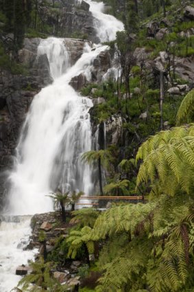 Steavenson Falls.