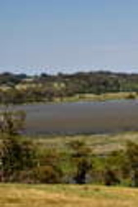 Burrawang swamp by day.