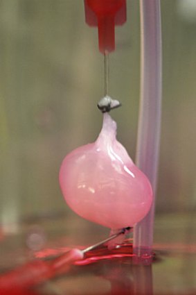 A functional lab-made kidney offers hope for renal patients.
