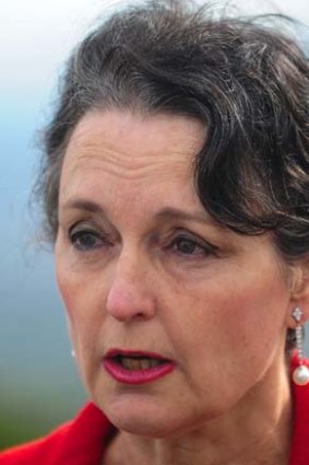 Shake-up: Incoming Planning Minister Pru Goward has not yet explained how she plans to institute a new planning system.