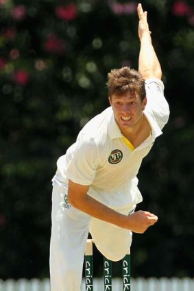 Here's trouble ... James Pattinson created quite a stir in the nets yesterday at the Gabba.