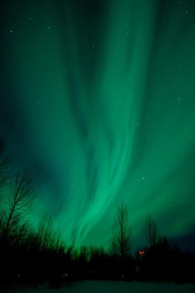 Northern lights ... the skies near Talkeetna, Alaska are lit up by aurora borealis, a common occurence in northern climates that was enhanced in this display by solar flares in the days preceding the event.