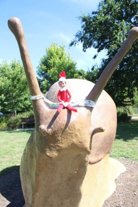 The Elf on the Shelf hitches a ride with Queanbeyan's Morty the snail.