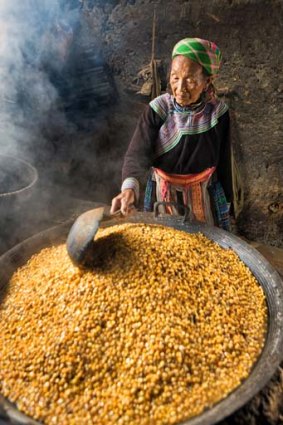 A Hmong woman makes corn wine.