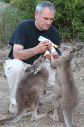 Looking after his beloved marsupials.