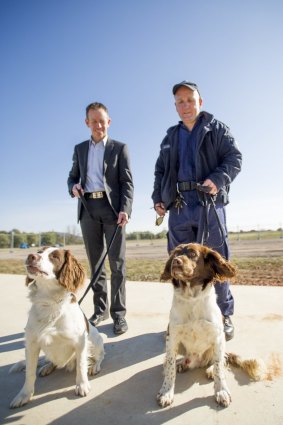 Corrective Services Minister Shane Rattenbury, and K9 handler Glen Kemp with Teddy and Boone.