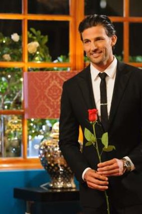 The ladies are queueing up for a rose from Tim Robards, even if viewers aren't.