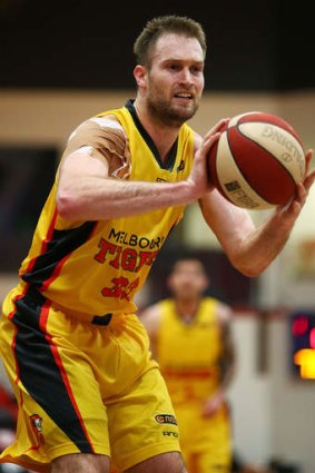 On the money: Melbourne's Mark Worthington of the sunk a three-point to win the match for the Tigers.