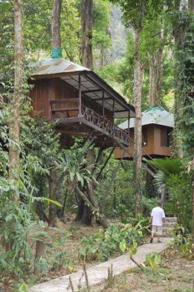 In the jungle ... a tree house at Khao Sok.